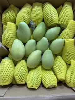 グリーンマンゴー1kg(クール便) - メルカリ