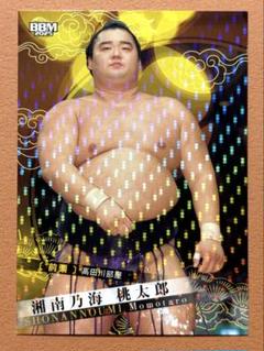 キラ版 湘南乃海 大相撲カード 2025
