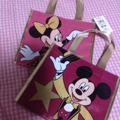 ディズニーストア舞浜限定バック