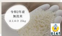 令和2年 はえぬき 無洗米 25kg (正味24.5kg)山形尾花沢産 新米