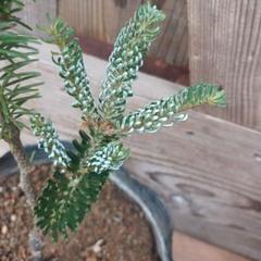 m92202227792_1.jpg?1721874261
