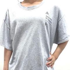 ギルダン Tシャツ Ascension St.Vincent's グレーXL古着