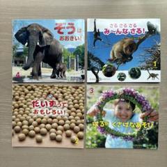 サンチャイルド ビッグサイエンス 36冊セット サンチャイルド ビッグサイエンス 36冊セット - メルカリ