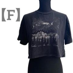 半袖Tシャツ 【F】 クロップド丈 短丈 クールネック カジュアル ブラック