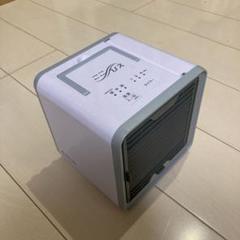 ここひえ