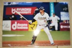 オリックスバファローズ 非売品 森友哉 オリジナル写真