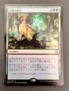 旧枠　foil「EMA」自然の秩序/Natural Order　日本語1枚 旧枠 foil「EMA」自然の秩序/Natural Order 日本語1枚 - メルカリ