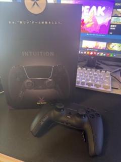 Void INTUITIO PROフルカスタム コントローラー PS5