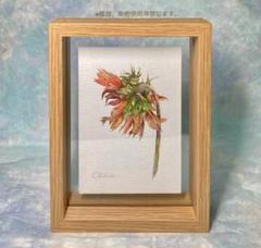 絵画 向日葵 夏の花 開運 水彩 植物 ボタニカルアート watercolor 絵画 向日葵 夏の花 開運 水彩 植物 ボタニカルアート