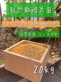令和6年産 自然栽培大豆 20kg 佐賀県産 ふくゆたか 令和6年産 自然栽培大豆 20kg 佐賀県産 ふくゆたか - メルカリ