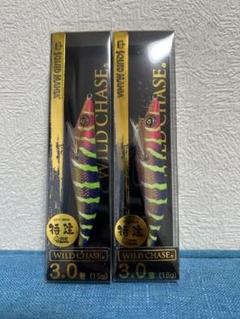 スクイッドマニア　ノーマルカラー　3.0 SQUID MANIA ワイルドチェイス WILD CHASE 3.0号 RT 限定色
