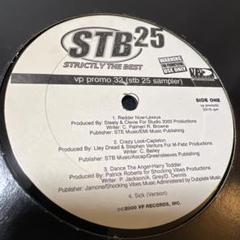 ✳︎超レア盤✳︎STB 25 Sampler vp promo 32