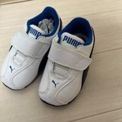 PUMA ベルクロスニーカー ホワイト/ブルー13.0㎝