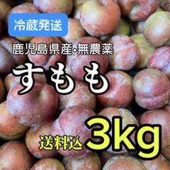 スモモ 3キロ+α 鹿児島産 - メルカリ