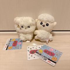 チェゴシム スコット ぬいぐるみ