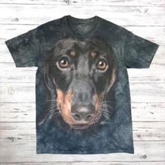 THE MOUNTAIN Tシャツ デカロゴ L ブラック0223