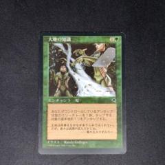 MTG PSA NM-MT8 大地の知恵 Earthcraft