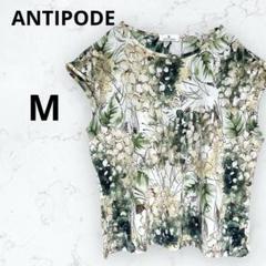 ＊アンティポード＊カットソー M 花柄 フレンチスリーブ 総柄 半袖 トップス