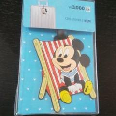 LUGGAGE TAG