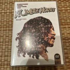 斉藤和義　RUMBLE HORSES　ライブDVD