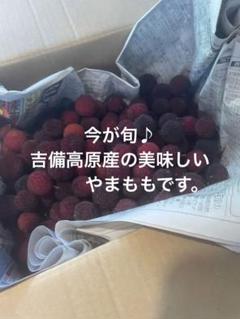 ヤマモモ 2kg 特大 中小ぶり混じり クール便 送料込み 冷凍 2025年最新】ヤマモモ 冷凍の人気アイテム - メルカリ