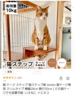楽天市場】猫 ケージ ステップ 猫ステップ板 ieneko 猫ケージ