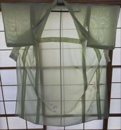 絽　正絹　一つ紋訪問着　うぐいす色　暈し菊柄舞台　発表会　か結婚式　観劇