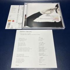 ■[限定/廃盤] Cymbals アルバムCD「RESPECTS +1」■