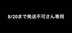 8/20まで発送不可さん専用