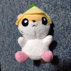 2025年最新】KABAYA ぬいぐるみの人気アイテム - メルカリ