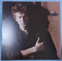 ◾️高音質️USオリジナル盤◾️DON HENLEY / ドンヘンリー◾️The End 芽瑠璃堂 ＞ ドン・ヘンリー 『エンド・オブ・ジ・イノセンス