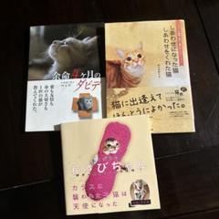 フェリシモ猫部のサムネイル