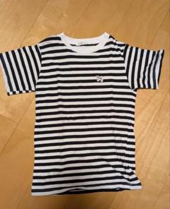 ストライプ 半袖Tシャツ 綿100%