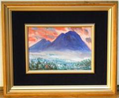 真作】絵画作者不詳サイン有油彩10号花逸品T182