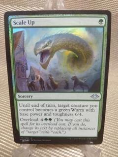 モダンホライゾン foil 厚鱗化b 英語 1枚　MTG