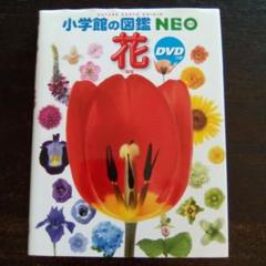 小学館の図鑑 NEO 花　DVD付き