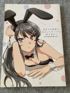 青春ブタ野郎は制作メイキングの夢を見ない/青春ブタ野郎はスノーデイズの夢を見ない 青春ブタ野郎は制作メイキングの夢を見ない/青春ブタ野郎はス