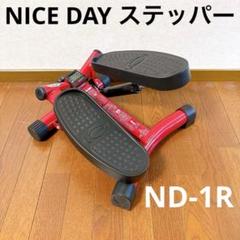 健康ステッパー ナイスデイ プレミアム ND-1R カウンター付き ナイスデー