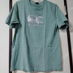 カンタベリーTシャツ