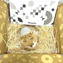 ポコチャ ぬいぐるみ ウルク ミニ