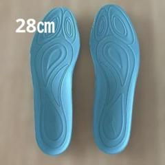 ミズノインソール　28センチ　新品