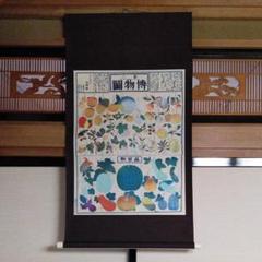 掛軸 唐沢富太郎 教育博物館③