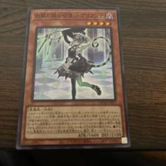 遊戯王　アリアンナ　No.2032 遊戯王】 白銀の城の召使い アリアンナ DBTM/スー の通販