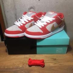 NIKE dunk sb low Nasty Boys ダンク