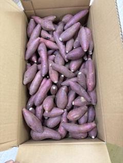 紅はるか　箱込み20kg 消毒、農薬、肥料不使用 農薬不使用紅はるか 箱込み5キロ ミニサイズ - メルカリ