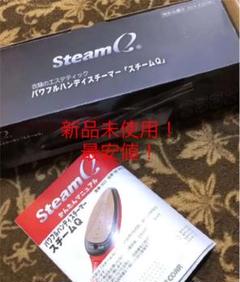 《新品未使用》パワフルハンディスチーマー スチームQ