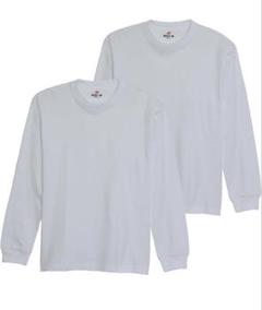 Hanes Beefy-T 2枚組