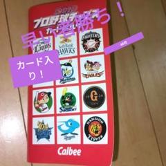 2019 プロ野球チップス カードホルダー