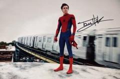 直筆サイン入りポスタートム・ホランド ジョン・ワッツ /フレーム別/SA鑑定済 スパイダーマン トム・ホランド 直筆サイン入り写真 保証書付き