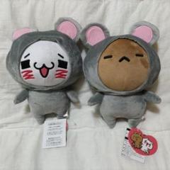 愛しすぎて大好きすぎる。 ぬいぐるみマスコット にゃんこ くま